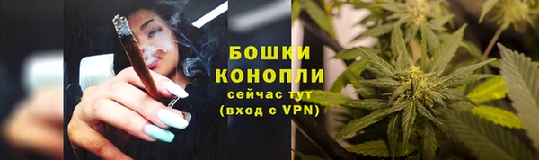 альфа пвп Каменногорск
